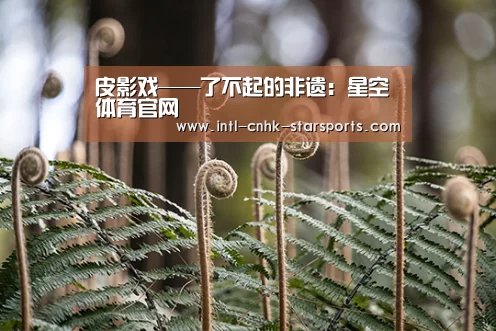 星空体育网址