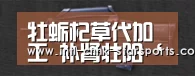星空体育入口