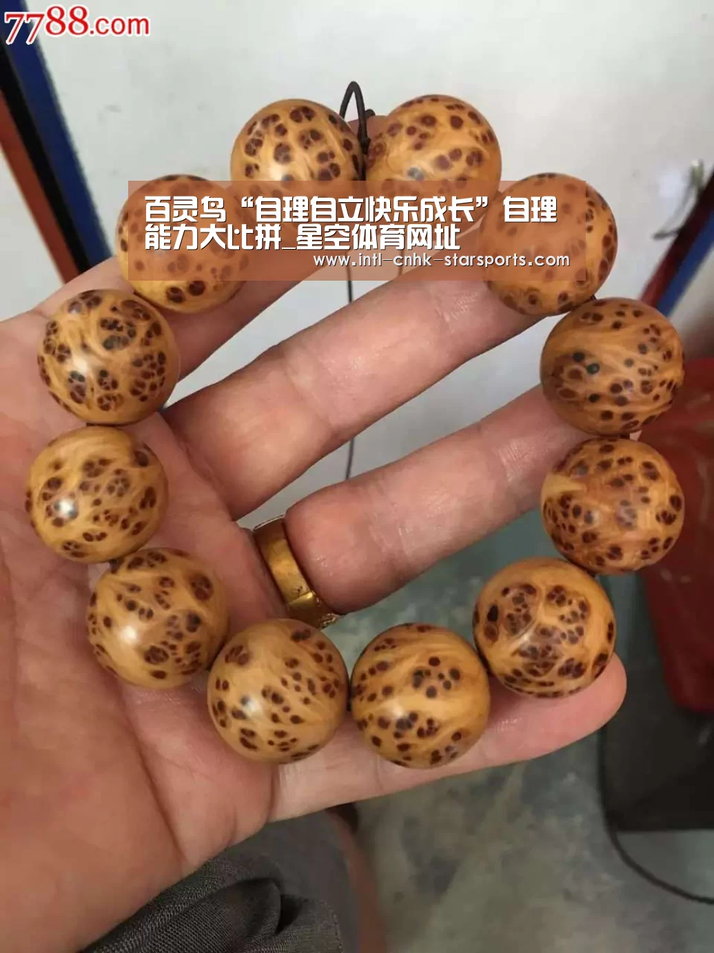 星空体育